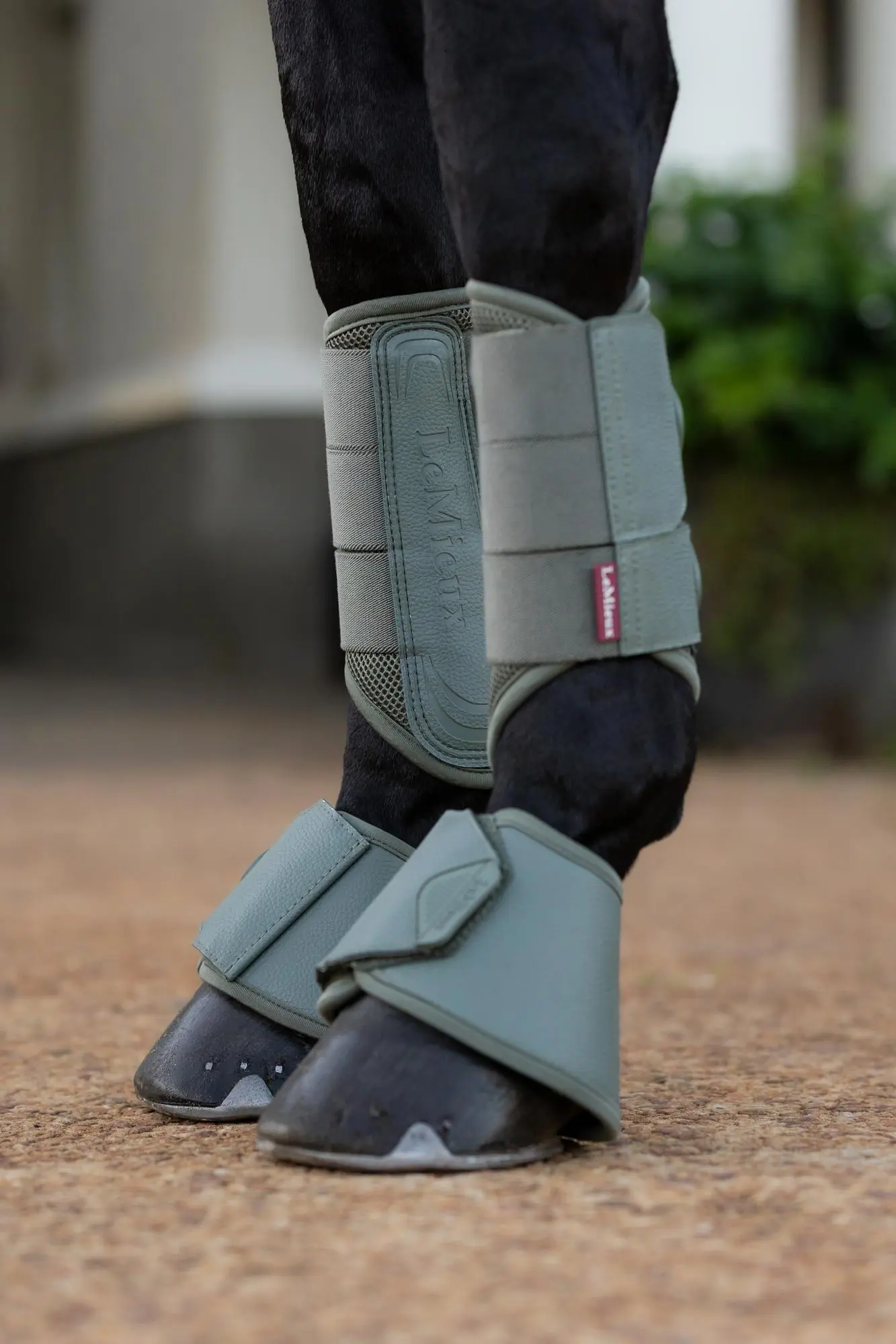 Thumb 3